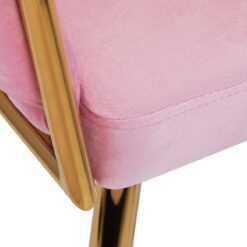Asiakastuoli QS-GW06G sametti pinkki Asiakastuoli QS-GW06G sametti pinkki