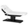 Sillon Relax sähköinen SPA-hoitopöytä, beige, vaalea puujalusta Sillon Relax sähköinen SPA-hoitopöytä, tummanruskea, musta puujalusta