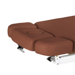 Sillon Relax sähköinen SPA-hoitopöytä, ruskea, vaalea puujalusta Sillon Relax sähköinen SPA-hoitopöytä, ruskea, vaalea puujalusta
